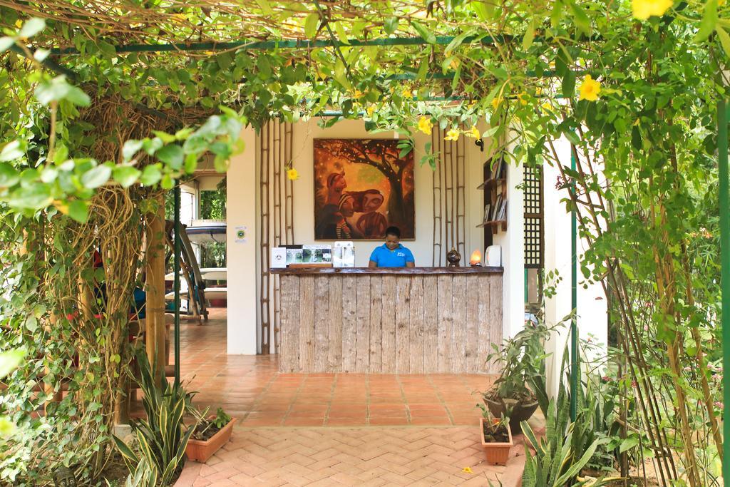 Fox & The Firefly Cottages Loboc Exterior photo